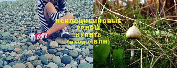 метадон Аркадак
